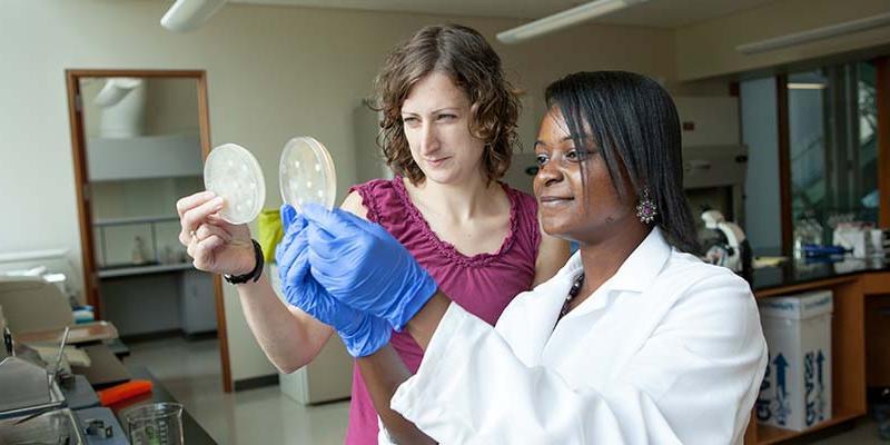 布莱恩·阿森学院的科学教授和实验室的学生, 拿起琼脂培养皿，观察它们.